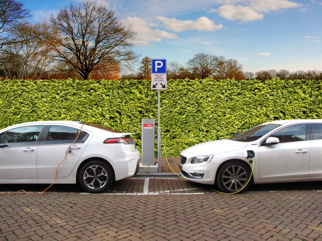 Does driving a hybrid car reduce your car insurance Does driving a hybrid car reduce your car insurance