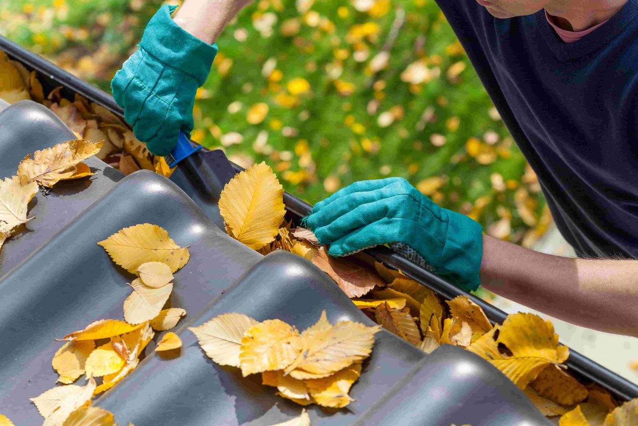 Does home insurance cover cleaning gutters?